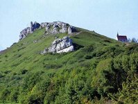 Bild 5 Schüpferling in Wiesenthau