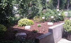 Bild 2 Hand in Hand - Gartenpflege & Gestaltung in Haßfurt