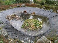 Bild 9 Die Teichreiniger in Erlangen
