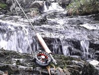 Bild 8 Stefans Angelshop in Regensburg