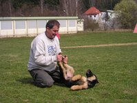 Bild 1 Hundeschule Villa Vista Andrea Gilch in Waidhaus