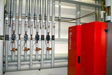 Bild 4 Fink in Michelsneukirchen