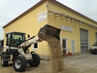 Bild 2 Sperber in Ursensollen