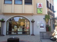 Bild 6 Eichen-Apotheke in Stein