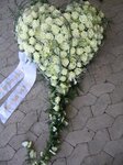 Bild 5 Blumen Preuss in Nürnberg