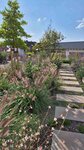 Bild 2 GartenGestaltung Christian Stegmann in Bessenbach