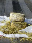 Bild 5 Schudt in Schöllkrippen