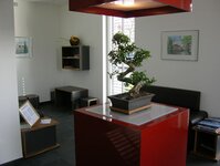 Bild 7 Warnick in Abensberg