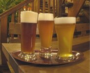 Bild 1 Ambraeusianum Gasthaus Brauerei in Bamberg