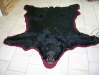 Bild 5 Hänel in Saal a.d.Donau