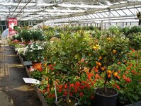 Bild 5 Bayerl in Falkenstein