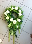 Bild 7 Gärtnerei Bach in Seßlach