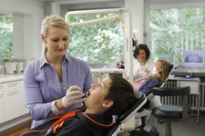 Bild 6 Wölfl in Regensburg