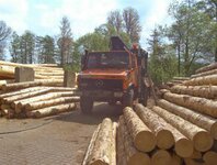 Bild 1 Tribale in Lichtenfels