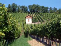 Bild 2 Kläranlage in Sand a.Main