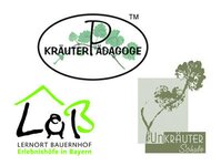 Bild 2 Baier in Steinbach a.Wald