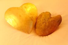 Bild 3 Hartung in Neusitz