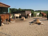 Bild 4 Vonnekold-Zeller in Schnelldorf