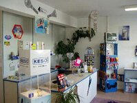 Bild 6 Kunkel in Aschaffenburg