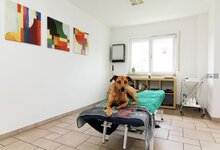 Bild 6 Karl in Schwabach