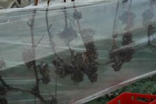 Bild 2 Simon in Alzenau