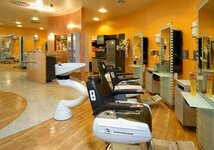 Bild 5 Hairport Horn in Erlangen