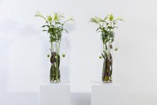 Bild 3 Blumen 1A Inh. Frank Halbig in Lauf a.d.Pegnitz