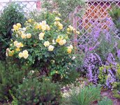 Bild 1 Gartenbaumschule Geiger GmbH in Hersbruck