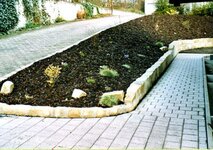 Bild 1 Geier in Viereth-Trunstadt