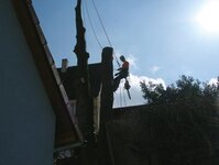 Bild 4 A.R.C.Tec Baumgutachten, Baumpflege in Petersaurach