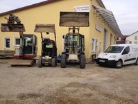 Bild 1 Sperber in Ursensollen