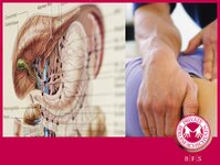 Bild 2 Private Berufsfachschulen für Physiotherapie und Massage in Erlangen