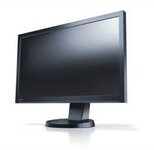 Bild 6 Endler in Kleinostheim