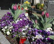 Bild 7 Friedhofsgärtnerei Götz GmbH in Würzburg