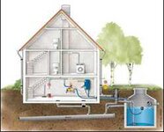 Bild 2 Vogel in Zirndorf