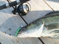 Bild 52 Stefans Angelshop in Regensburg