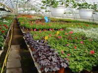 Bild 6 Bayerl in Falkenstein