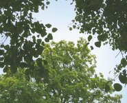 Bild 2 Ingenieurbüro Rausch & Partner in Neustadt