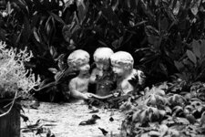 Bild 6 Müller in Schweinfurt