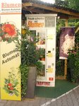Bild 8 Blumen Sunshine Floristik u. Bärenland in Zirndorf