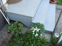 Bild 1 Molendijk in Fürth