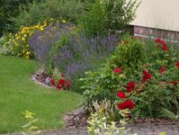 Bild 5 Hofmann Garten- u. Landschaftsbau GmbH in Marktheidenfeld