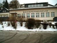 Bild 1 Bär in Ludwigsstadt