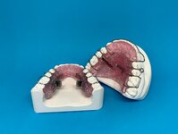 Bild 6 KFO - Team & Technik Kieferorthopädisches Fachlabor Christine Hohnecker in Ebrach