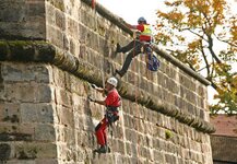 Bild 5 A.R.C.Tec Baumgutachten, Baumpflege in Petersaurach