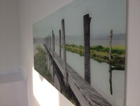 Bild 10 Bartsch in Schwarzach a.Main