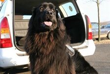 Bild 3 Wach- und Schließinstitut Weingärtner GmbH & Co. KG in Bad Kissingen