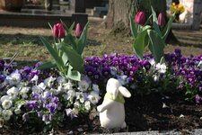 Bild 8 Friedhofsgärtnerei Götz GmbH in Würzburg