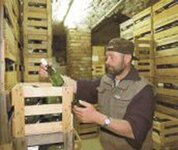 Bild 4 Weingut Winfried Luckert in Sulzfeld a.Main