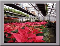 Bild 2 Kaiser in Buckenhof